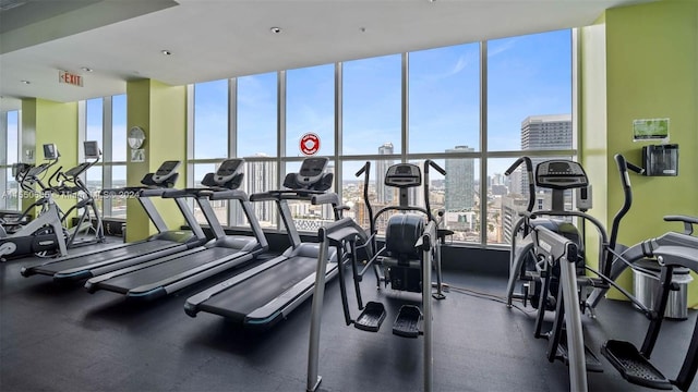 workout area featuring floor to ceiling windows and a wealth of natural light