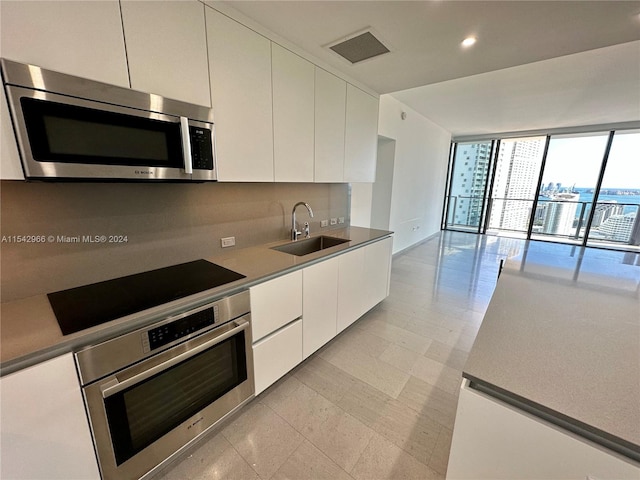 kitchen with expansive windows, sink, appliances with stainless steel finishes, and white cabinetry