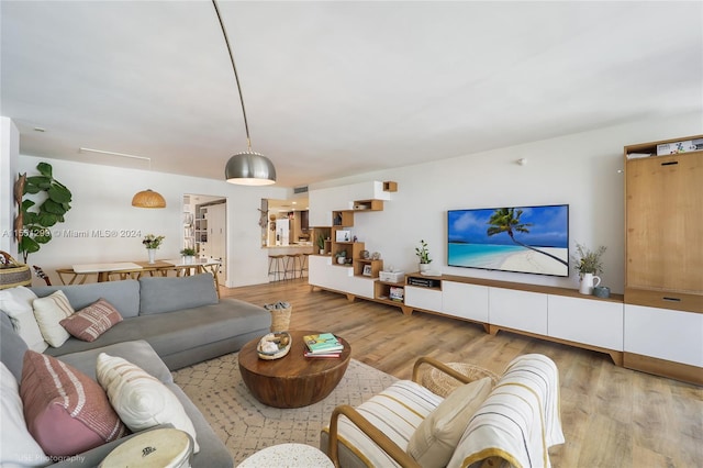 living room featuring light hardwood / wood-style flooring