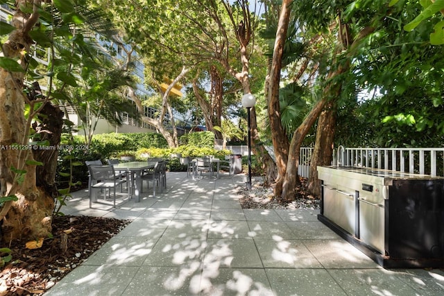 view of patio with an outdoor kitchen and sink