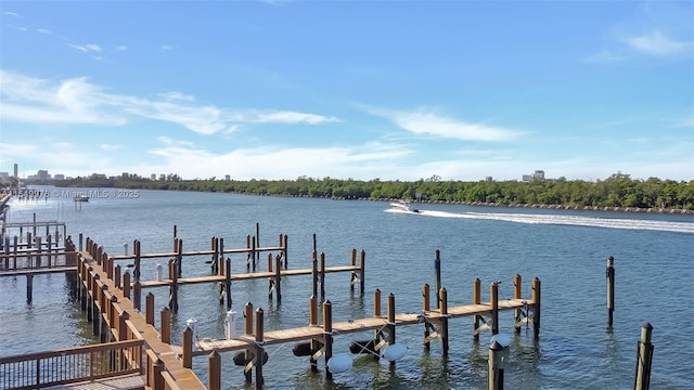 view of dock with a water view