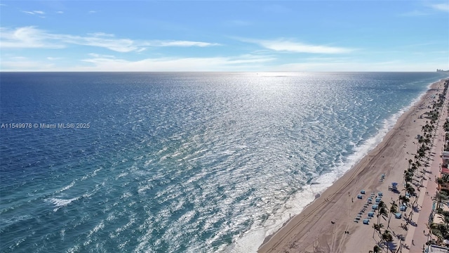 property view of water featuring a beach view