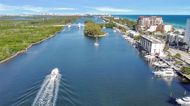 aerial view featuring a water view