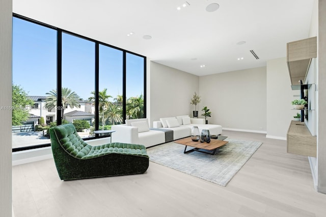 living room featuring light hardwood / wood-style flooring