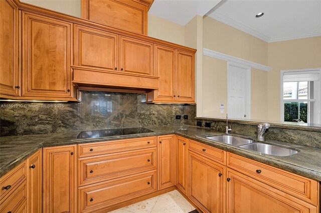 kitchen featuring black electric stovetop, backsplash, premium range hood, ornamental molding, and sink