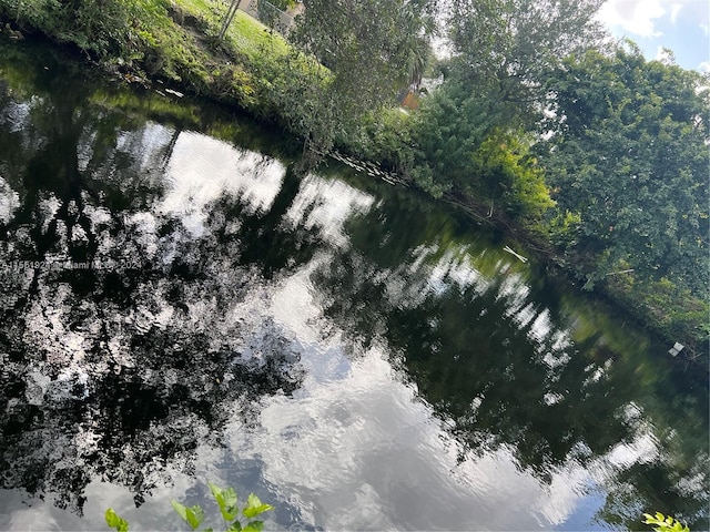 view of mother earth's splendor with a water view