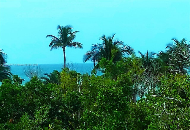 view of landscape featuring a water view