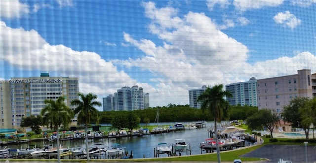 water view featuring a boat dock