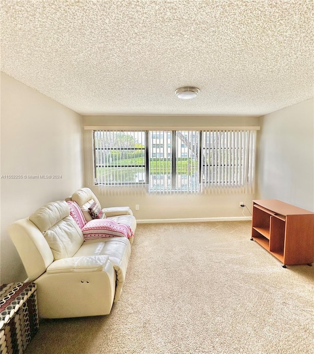 carpeted living room with a textured ceiling