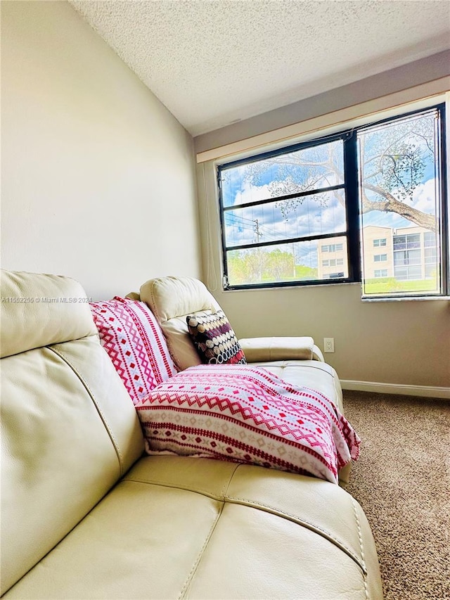 carpeted bedroom featuring vaulted ceiling, multiple windows, and a textured ceiling