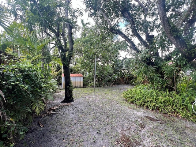 view of yard with a storage shed