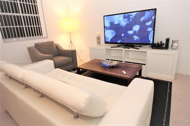 living room with carpet floors