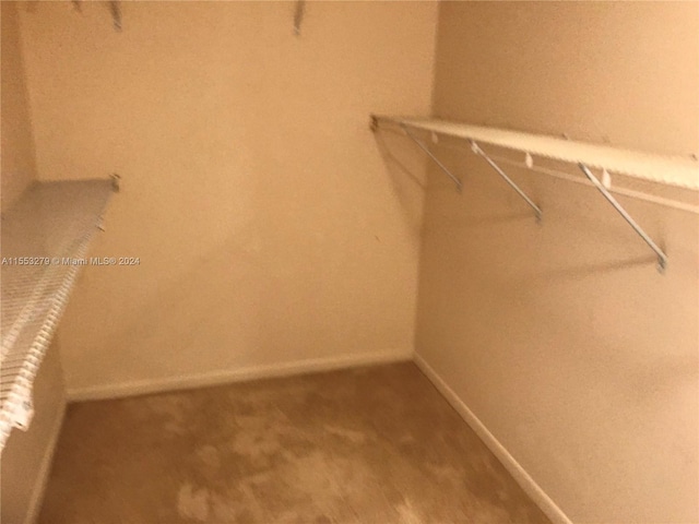 walk in closet with carpet