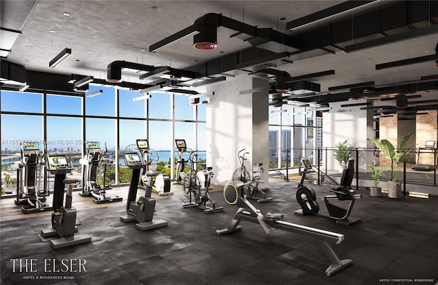 exercise room featuring floor to ceiling windows