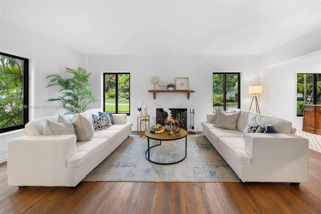 living room featuring a wealth of natural light and dark hardwood / wood-style floors