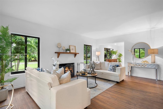 living room with dark hardwood / wood-style flooring