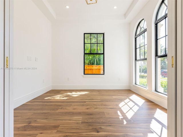 empty room with wood-type flooring