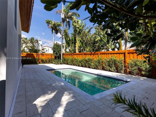 view of pool with a patio area