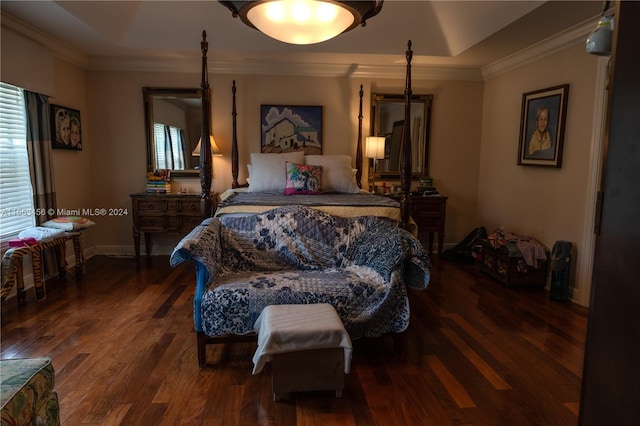 bedroom with a tray ceiling, multiple windows, ornamental molding, and dark wood-type flooring