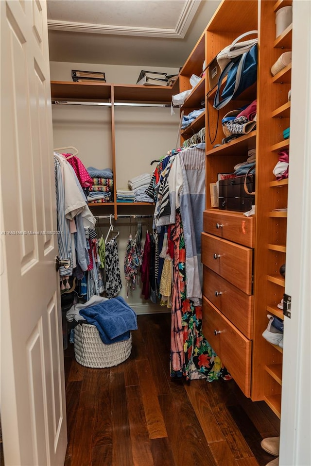 spacious closet with dark hardwood / wood-style flooring