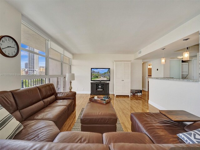 living room with wood-type flooring