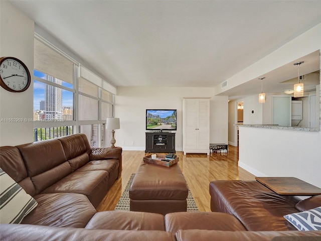 living room featuring hardwood / wood-style flooring