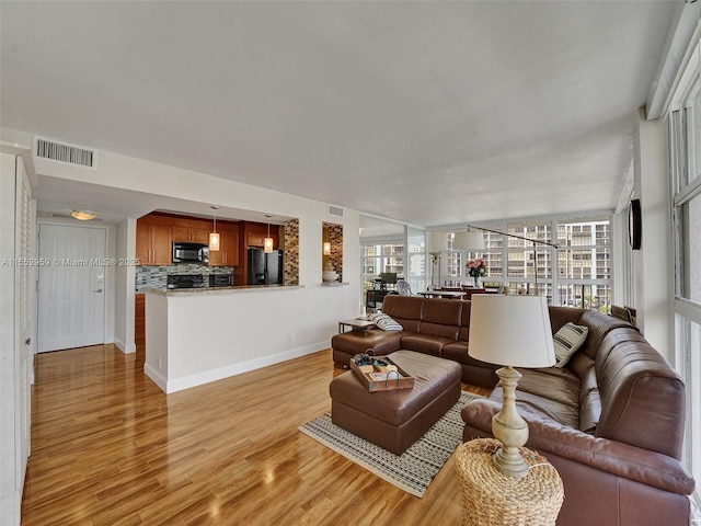 living room featuring a healthy amount of sunlight and light hardwood / wood-style floors