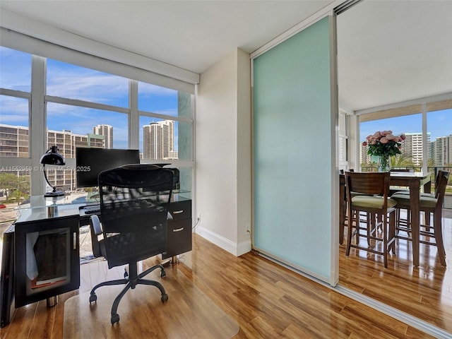 office featuring floor to ceiling windows and wood-type flooring