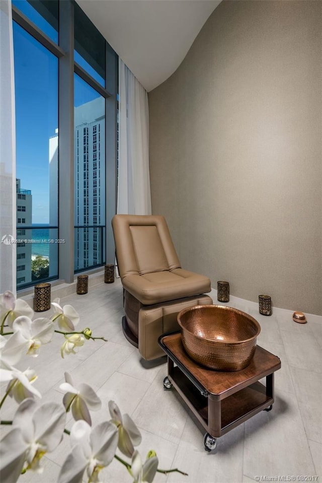 living area featuring floor to ceiling windows