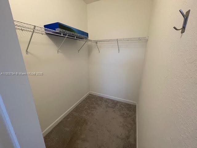 walk in closet with carpet floors