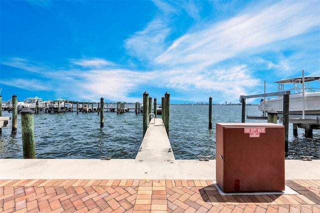 dock area featuring a water view