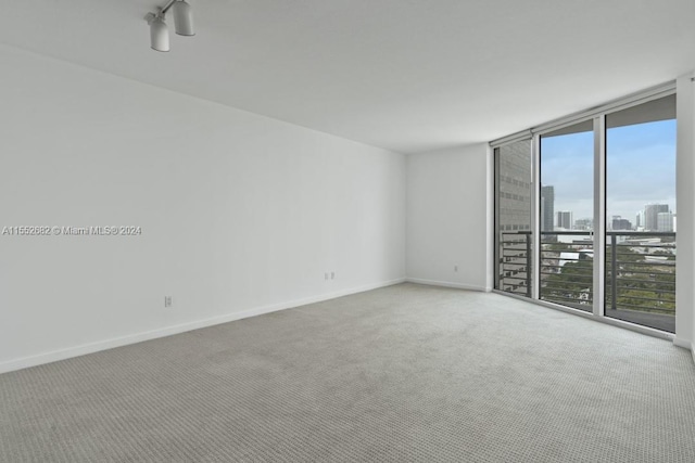 empty room with light colored carpet and expansive windows