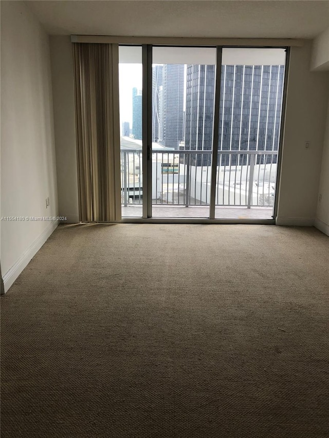 empty room featuring floor to ceiling windows and carpet flooring