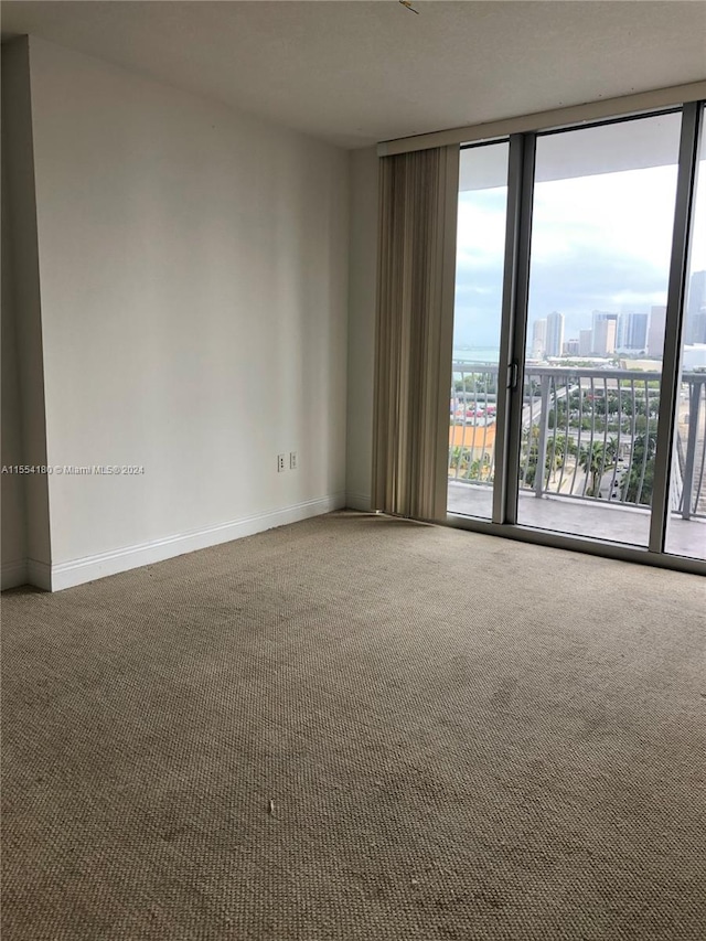 carpeted empty room featuring a wall of windows