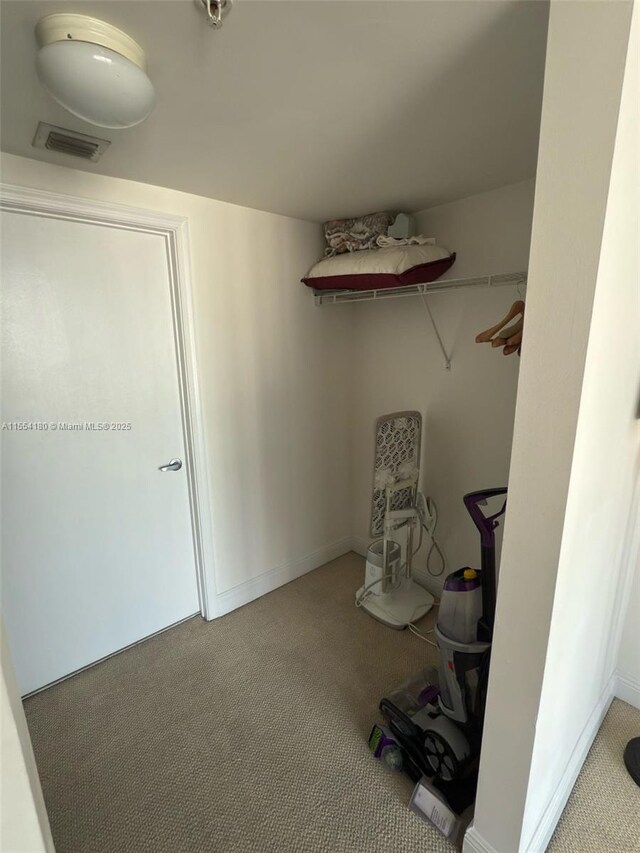 walk in closet with light carpet