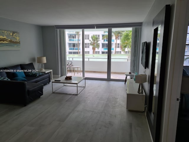 living room featuring hardwood / wood-style floors