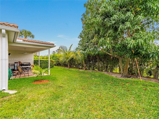 view of yard featuring a patio area and ceiling fan