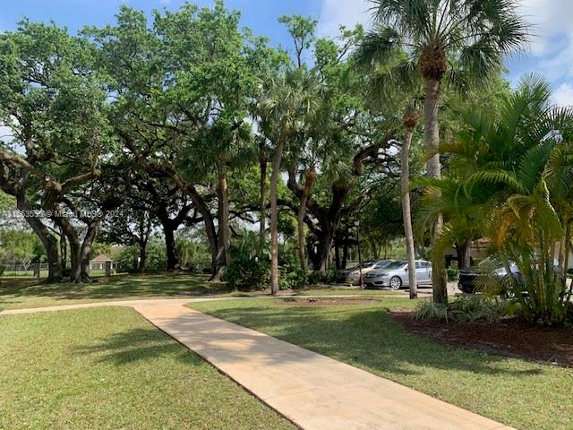 view of home's community featuring a yard