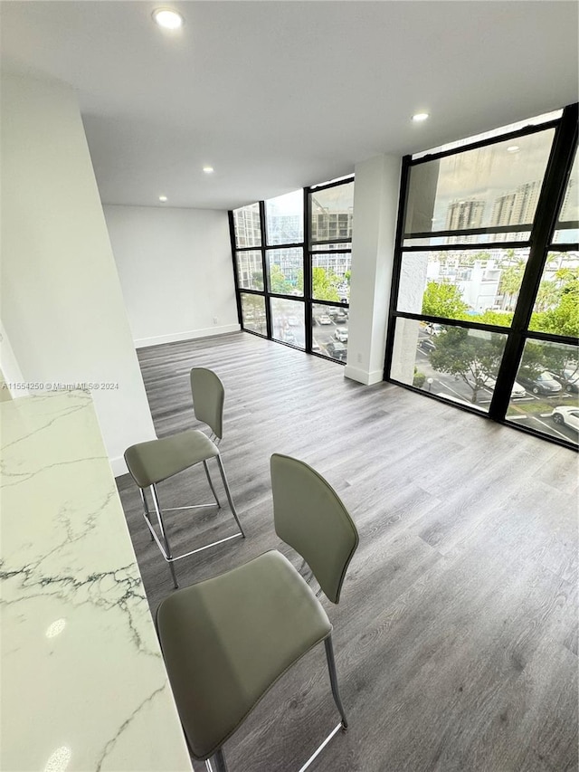 interior space featuring dark hardwood / wood-style flooring and a wall of windows