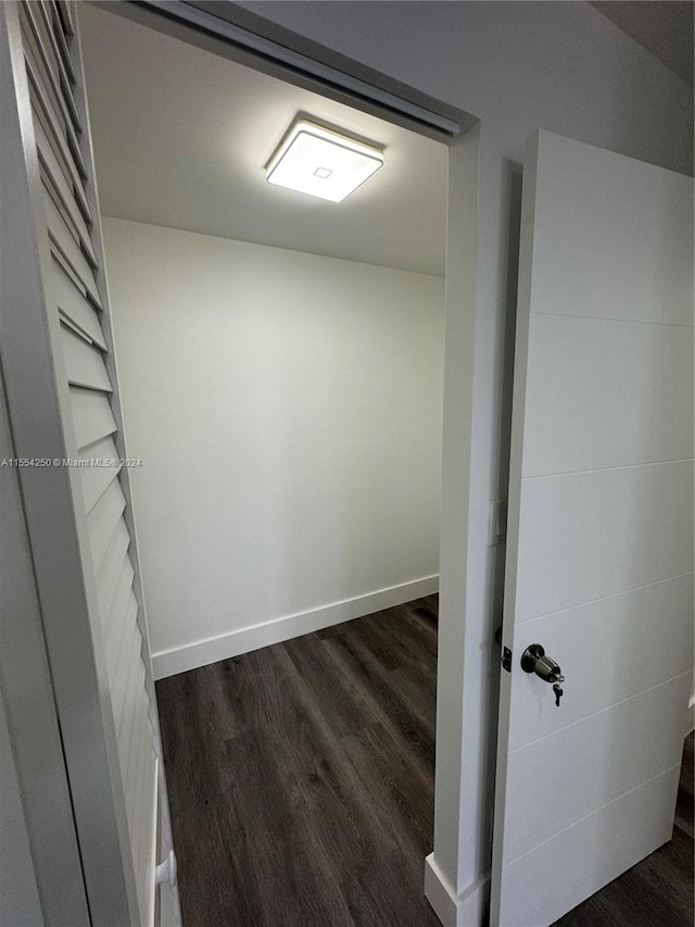 spacious closet featuring dark wood-type flooring