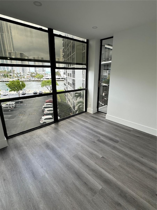 unfurnished room featuring expansive windows and dark wood-type flooring