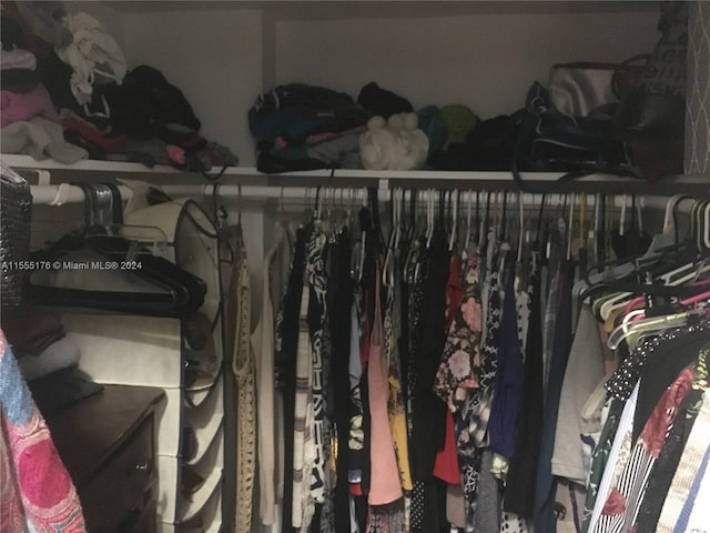 view of walk in closet