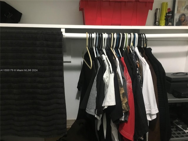 view of closet