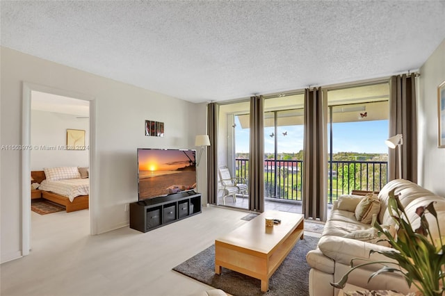 carpeted living room with a textured ceiling and a wall of windows