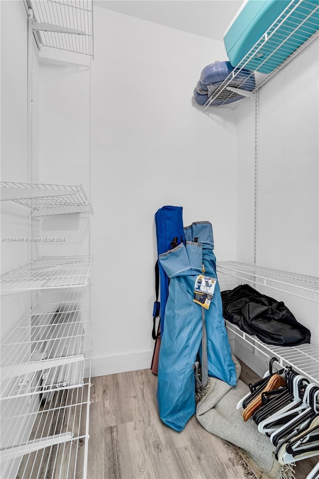 spacious closet featuring light hardwood / wood-style flooring