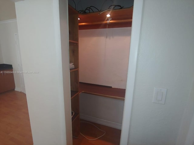 view of closet