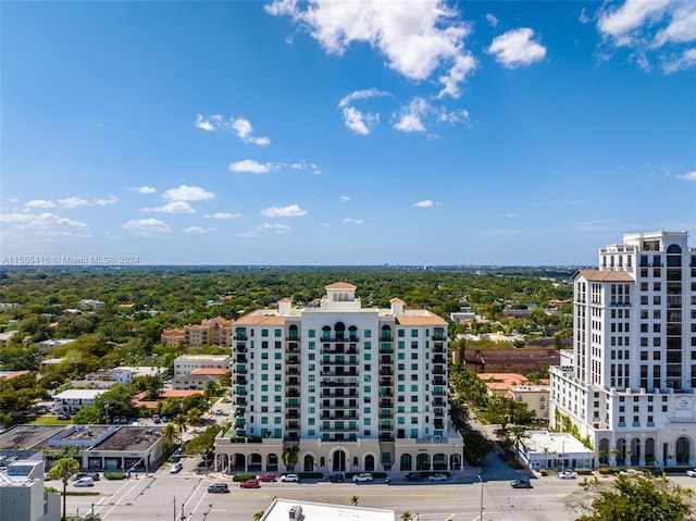 view of bird's eye view