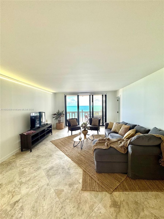 living room featuring expansive windows