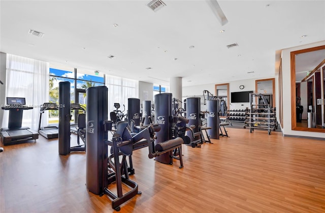 exercise room featuring expansive windows and light wood-type flooring