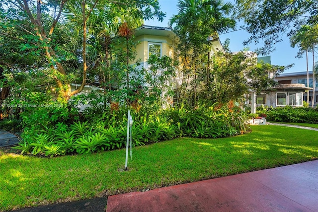 3440 N Meridian Ave, Miami Beach, FL 33140 - view of yard